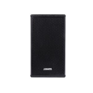 D6564 10 Inch 250W Professional Two Way Cabinet speaker